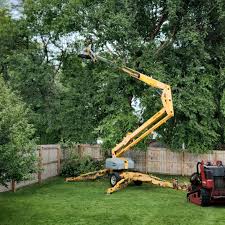 Best Tree Removal Services  in Lincoln Park, NJ